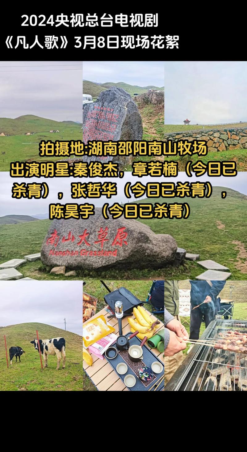 今日科普一下！电视剧黎明决战全集免费播放,百科词条爱好_2024最新更新