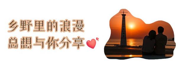 今日科普一下！49853澳彩开奖记录,百科词条爱好_2024最新更新